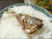 雄踏港　漁師さんのお惣菜　ヒイラギ（ジンダベラ）