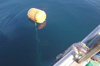 漁徳丸　美しく深い海の淵から