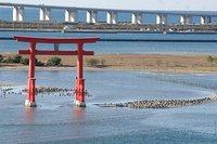 弁天島の魅力　潮の干満が見える海