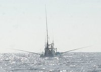 哲昌丸　サワラ漁　銀の海、曳き縄の海