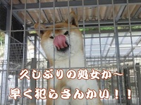 ネタ不足