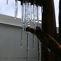 とけて、また凍ってる… 2011/01/16 12:19:55