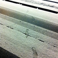 また積もってきた 2011/01/16 18:57:31