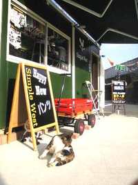 頭が春です・・・ 2010/04/07 23:08:32