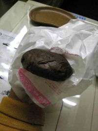 今日のヒッソリ 2009/10/25 21:37:42
