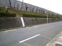 スッキリすぎ？ 2010/02/10 18:37:46