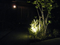 照明 2010/11/19 11:12:26