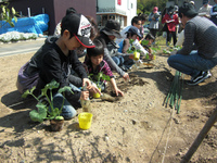 いよいよ　明日　菜園教室です！ 2012/03/24 07:21:14