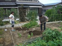 はまころサンデー　かぼちゃ祭り！ 2011/09/26 07:37:07