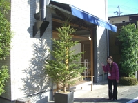 クリスマスツリーがやってきた！ 2011/11/25 09:43:38
