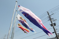 鯉のぼり 2011/04/11 10:53:14