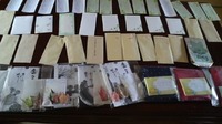 ご協力ありがとうございました。 2011/05/01 16:06:50