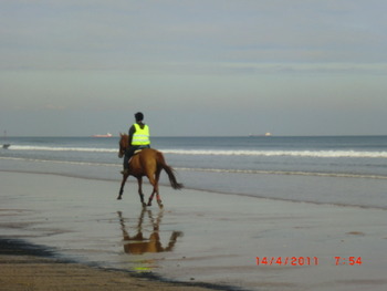 Marske by the sea