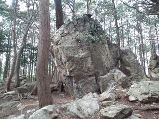 渭伊神社