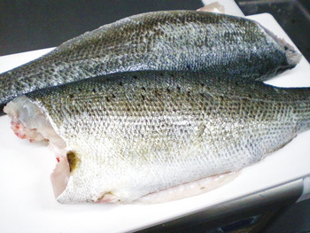 ｺﾞ－ﾙﾃﾞﾝｳｨ－ｸのお魚は？