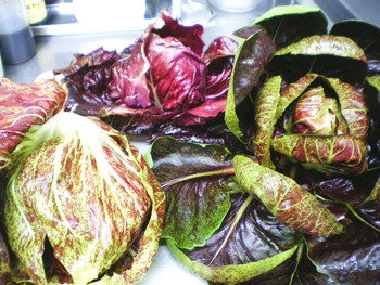 届きました・・・・・イタリア野菜！