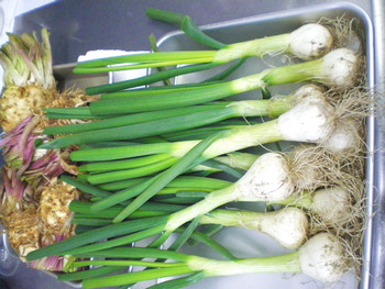 入荷！・・・・・旬の冬の食材