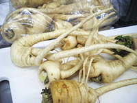 パ－スニップ！ 2011/02/08 16:13:53