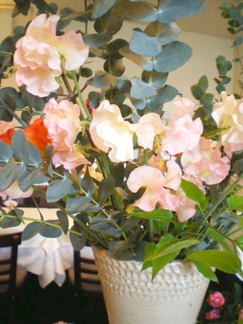 季節の花！？