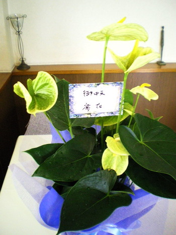 いただきました！