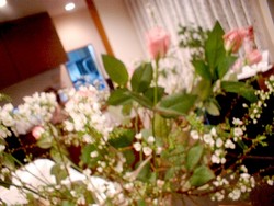 今週のお花は？