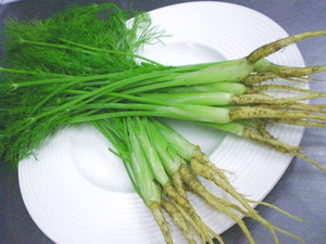 お約束の写真・・・・・縞インゲン！
