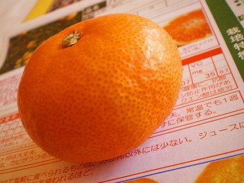 今月のシェフの会は！