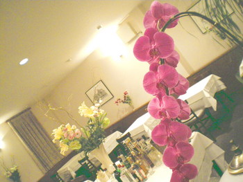高貴なお花を・・・・・いただきました！