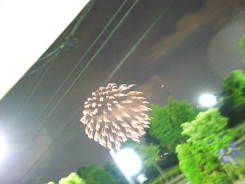 夜空にきれい・・・・・佐鳴湖の花火！