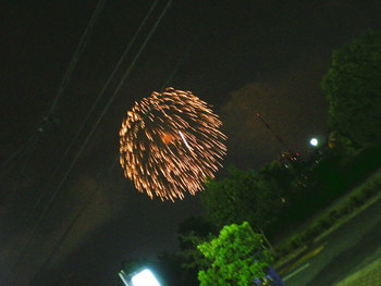 夜空にきれい・・・・・佐鳴湖の花火！