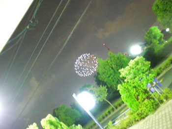 夜空にきれい・・・・・佐鳴湖の花火！