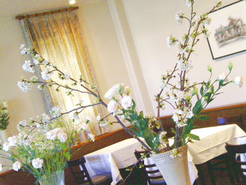 レストランに・・・・・・・さくらが満開に？
