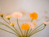 やっと！開花！今週のお花！