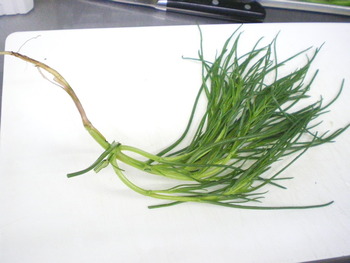 これは野菜かな～それともハ－ブ？
