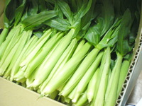 ベビ－コ－ン！ 2010/06/09 09:13:21