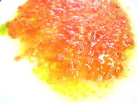始まっております！ 2010/07/27 08:48:39