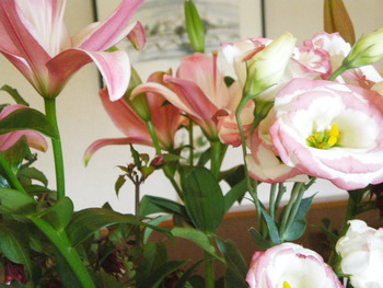 久しぶりの・・・・・・今週の花！