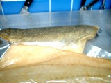 続・・・・気になる自家燻製の行方は！