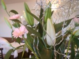 きれいなお花届きました