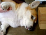 うつわやさんへ・・・・ゴ-ゴ-！