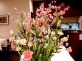 優しい～感じの今週のお花！