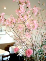お～！素敵なお花が満開に！