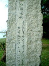 久々の散歩記事の投稿！