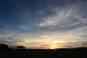 夕日