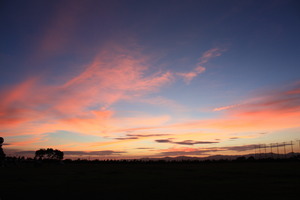 夕日