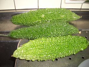野菜畑のこと