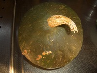 野菜畑のこと