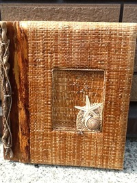 沖縄の貝殻日記