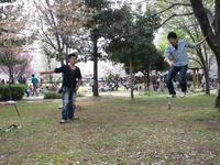 桜とにごり酒と綱渡りと私