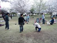桜とにごり酒と綱渡りと私